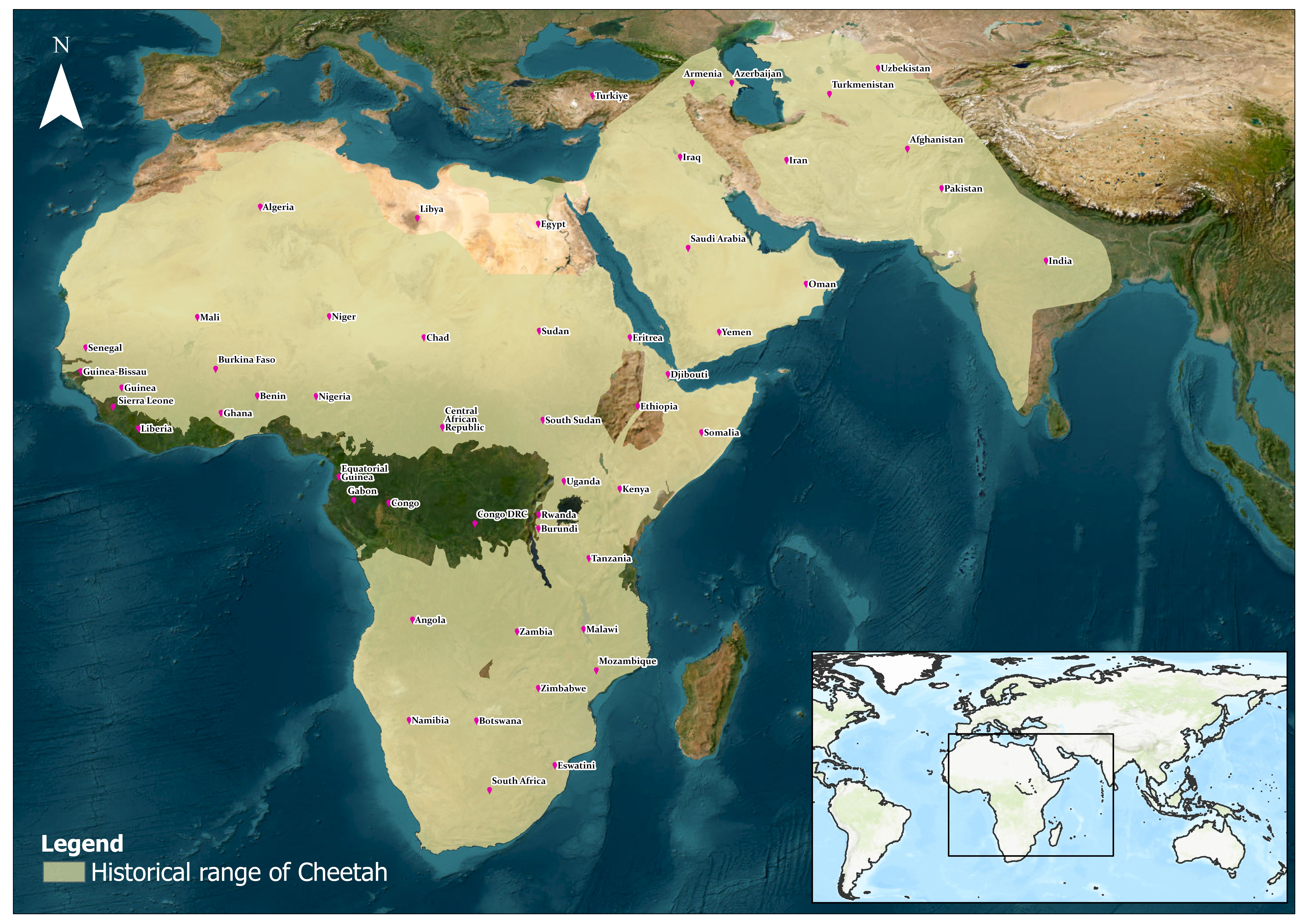 Historical Distribution of Pumas